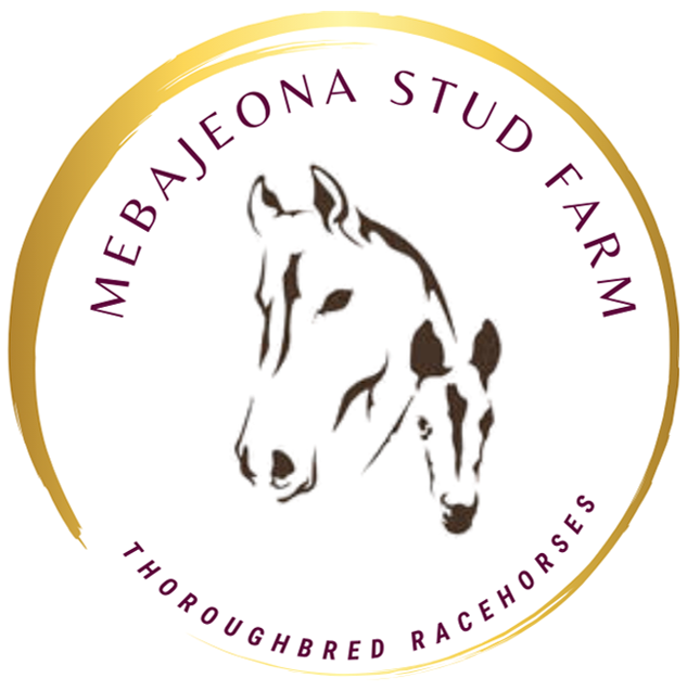 Mebajeona Stud Farm